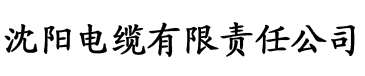 草莓视频APP污黄色电缆厂logo